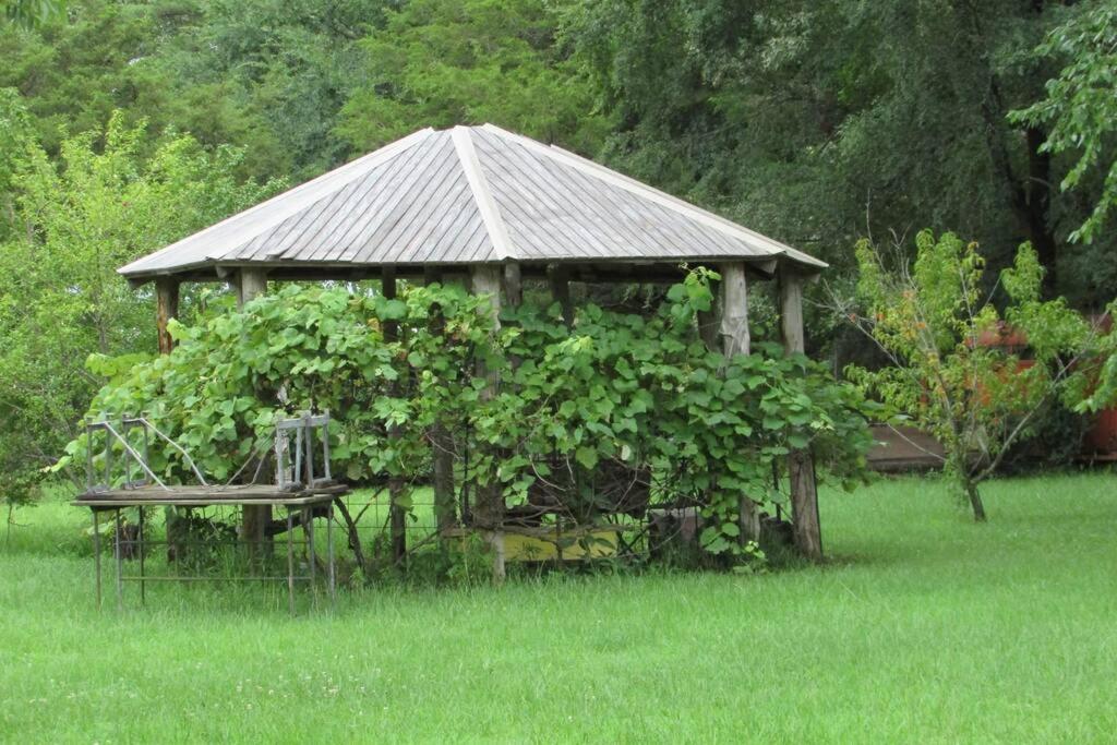 Berrybramble Cottage Talihina Buitenkant foto